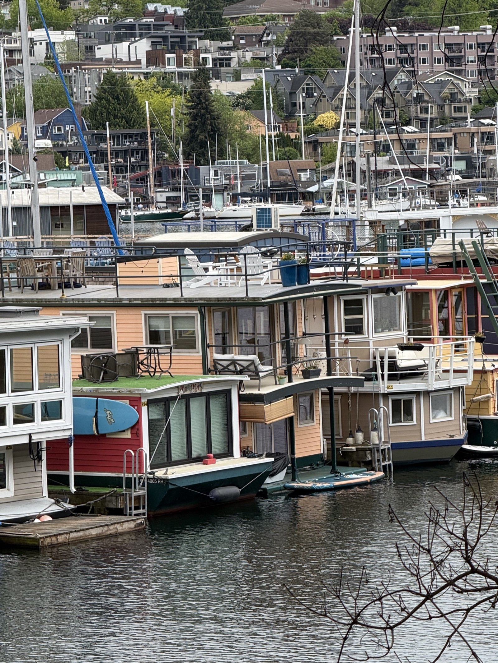 Houseboats from the pathway